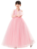 V-Back Flower Girl Dress with Tulle Sleeves for Special Occasions Wedding Beauty Pageant Recital 249