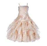 Elegant Rhinestone Organza Pleated Ruffled Beauty Pageant Special Occasion Flower Girl Dress 164S(1)